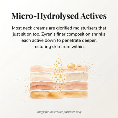 Micro-Hydrolysed Actives infographic: illustration of Zyren Neck Cream actives passing through layers of skin